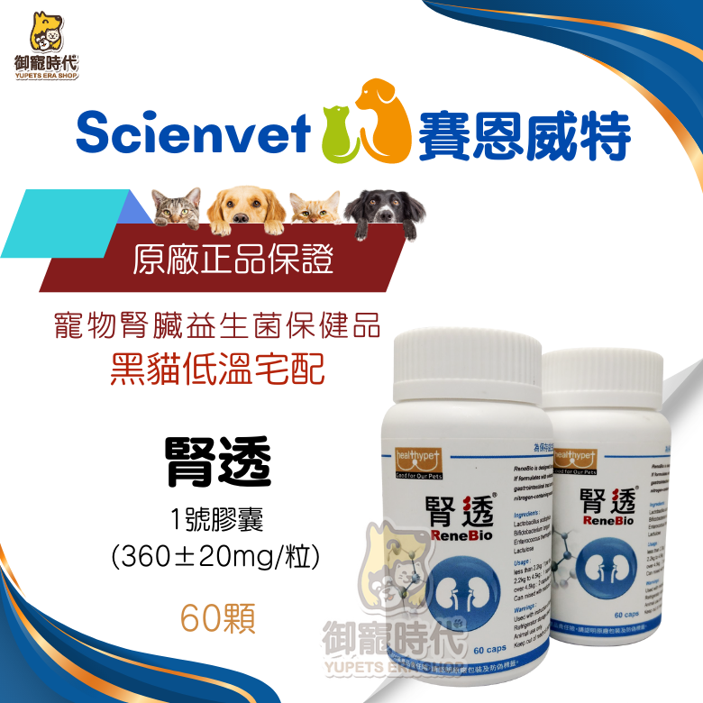 scienvet 賽恩威特 腎透 60顆 腎臟益生菌 腎臟保養 腎衰護理 磷吸附劑 降磷