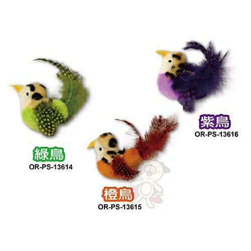 PLAY-N-SQUEAK 狂野森林 皇室鳥類貓草音效玩具 逼真的鳥兒設計 搭配啾啾聲『WANG』