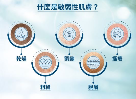 【Cetaphil 舒特膚】溫和潔膚乳 591毫升/250毫升 2