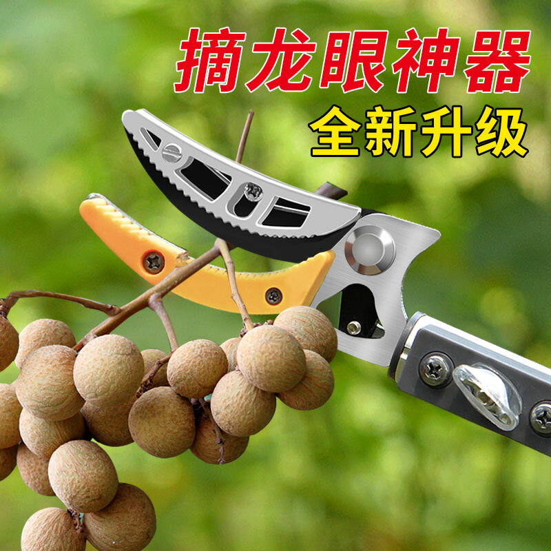 【最低價 公司貨】摘果神器伸縮高空修枝剪摘水果剪刀加長採摘器荔枝枇杷龍眼高枝剪