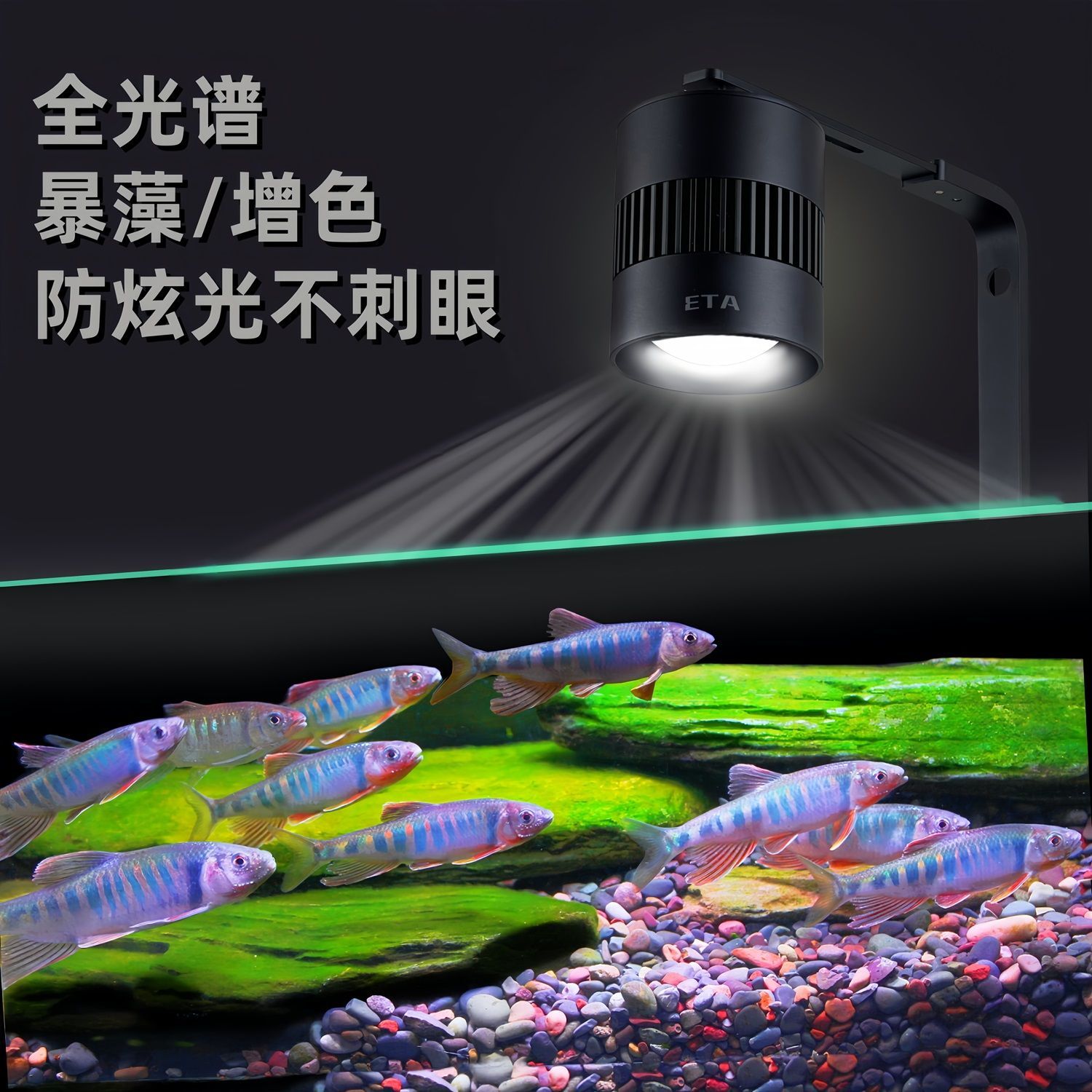 燈座/燈管 免運 原生溪流缸燈魚缸生態暴藻出苔LED燈全光譜筒燈射燈魚缸觀賞燈L61公司貨 快速出貨