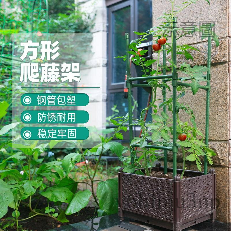 菜架子 爬藤架 瓜架 藤架 攀藤架種菜撐桿西紅柿黃瓜番茄植物架子 攀爬支架 藤管架 絲瓜 葡萄架 爬藤果架 | 千織屋 | 樂天市場Rakuten