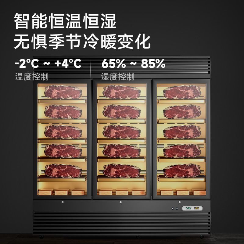 馳能商用牛排熟成柜風干式牛肉排酸展示柜西餐廳風冷保鮮冷藏冰箱