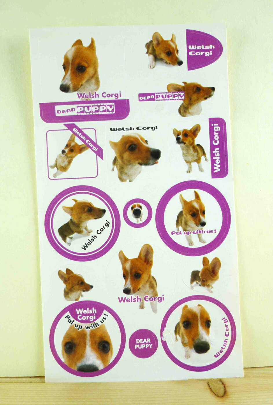 【震撼精品百貨】新大頭狗 The Dog 透明貼紙-柯基-紫 震撼日式精品百貨