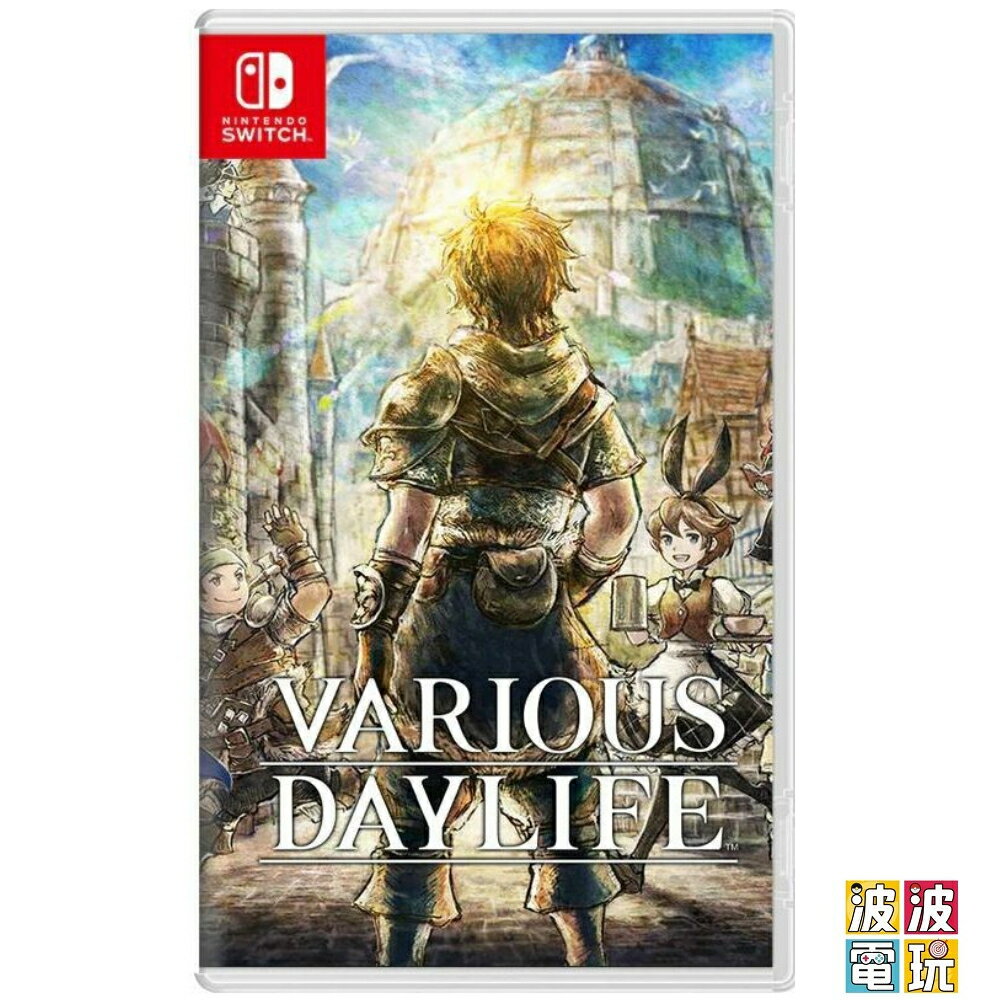 任天堂 Switch 《Various Daylife》 多元日常生活 中文版 【波波電玩】