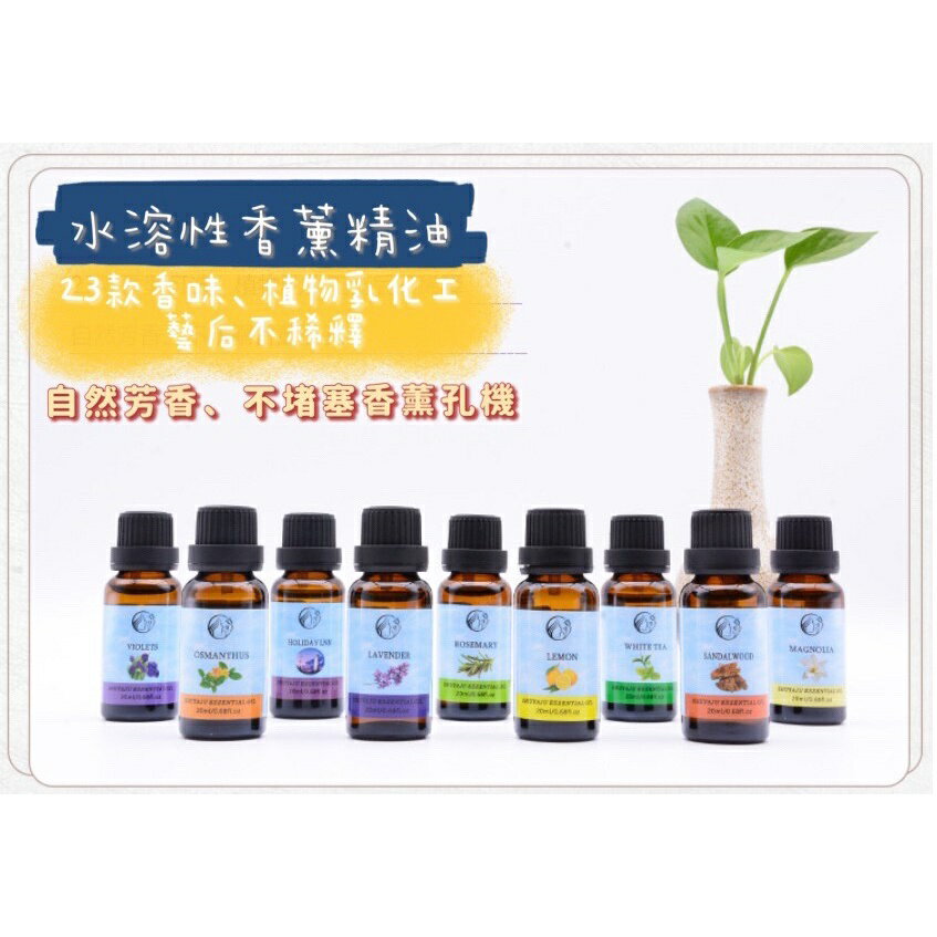 【漫格子】水溶性香薰精油20ml 水氧機精油 香薰機精油 香氛精油 擴香精油 3