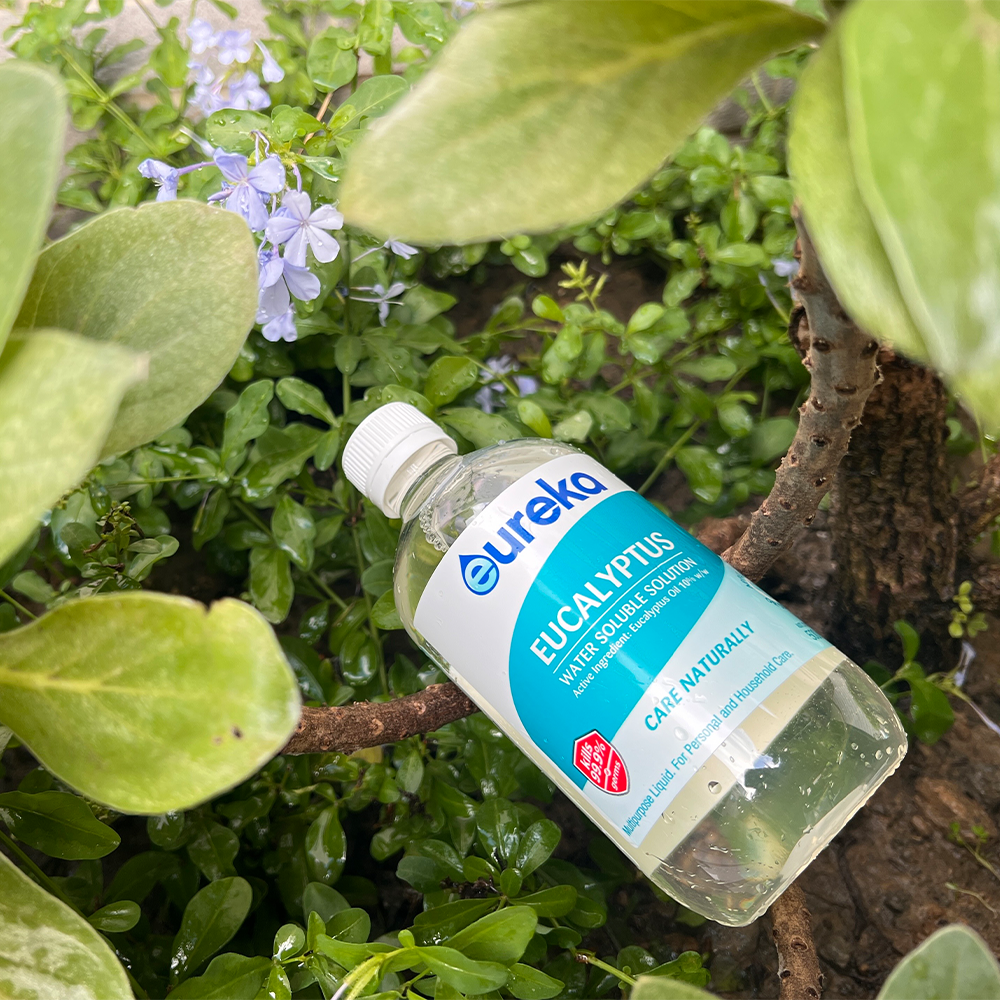 【Eureka】澳洲水溶性尤加利精油(10%含量稀釋) 500ml (2026.05)｜滿額領券再折⚡專櫃保養彩妝 品牌香氛 2