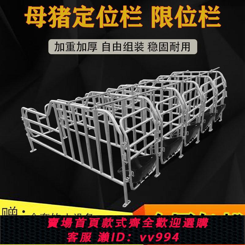 {公司貨 最低價}定位欄母豬欄位定位限位欄養豬場裝置母豬產床雙體豬產床豬籠欄