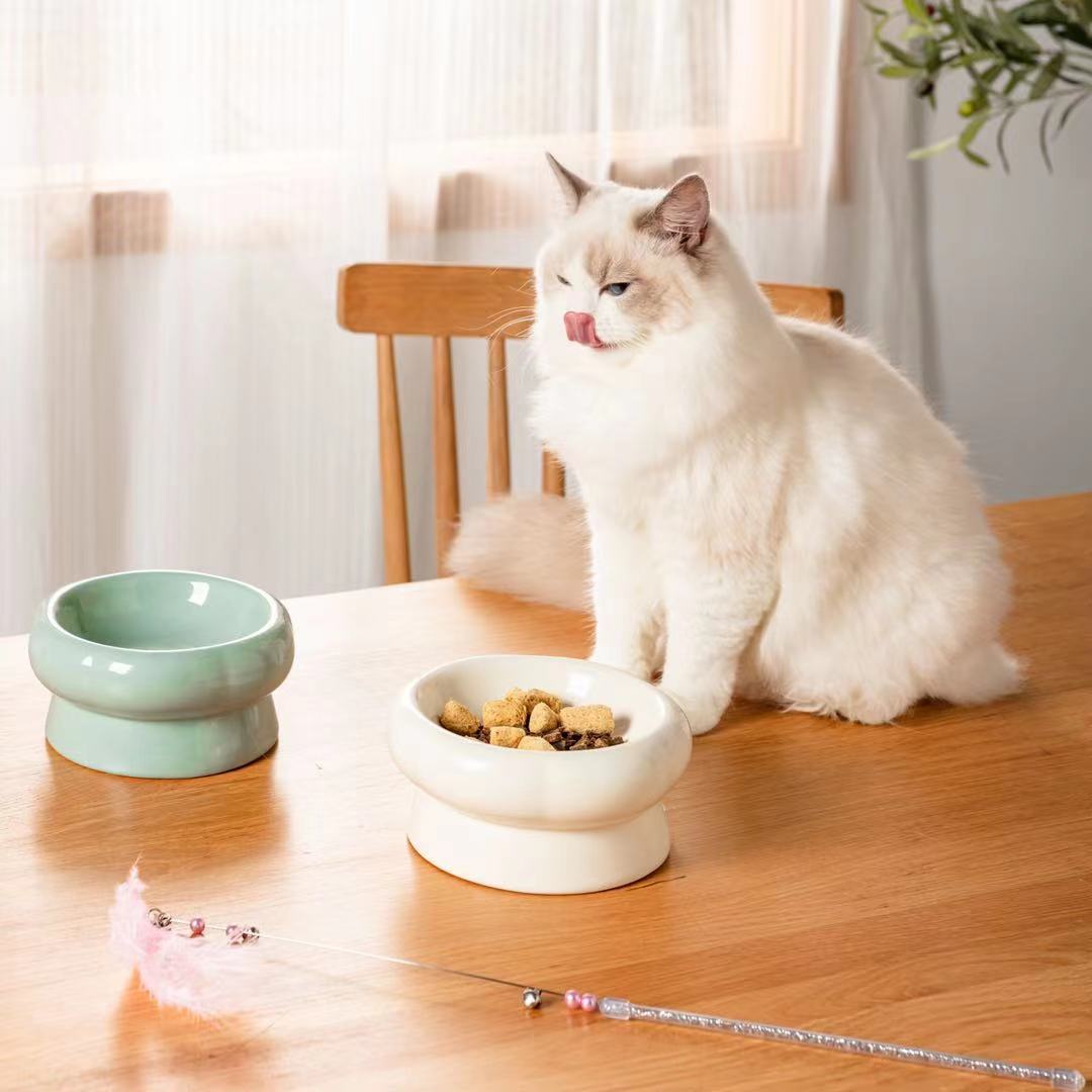 貓碗馬卡龍色可愛幼貓防打翻陶瓷貓咪貓食盆保護頸椎高腳貓碗雙碗
