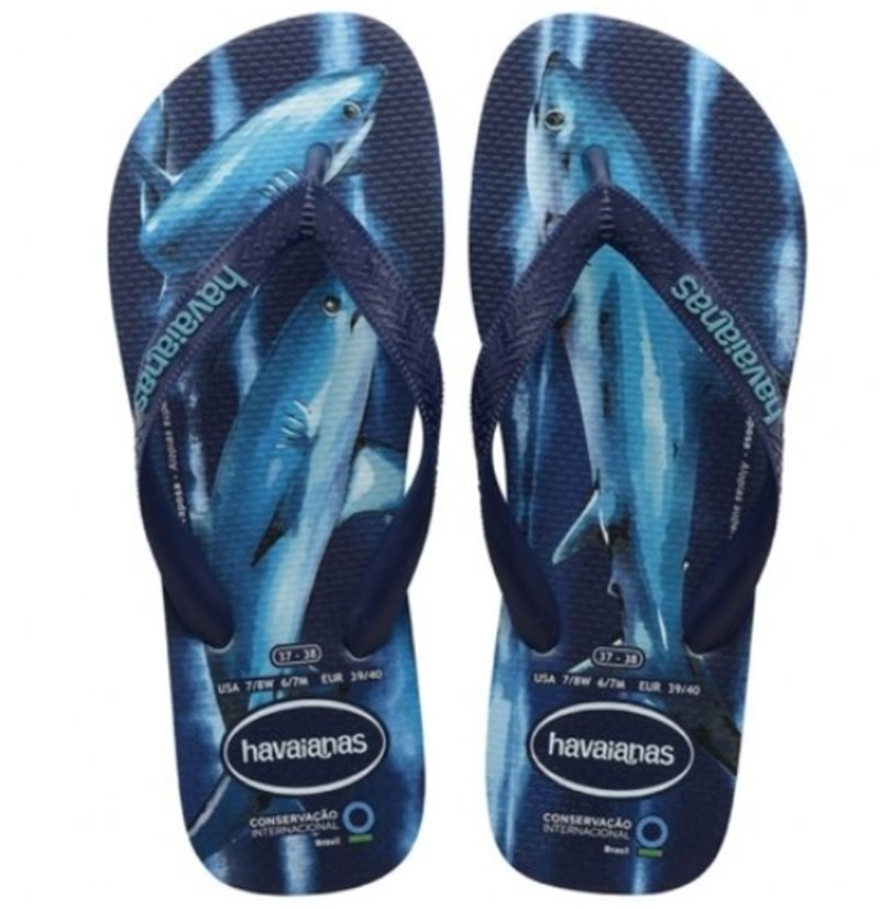 havaianas 哈瓦士 巴西人字拖 男款 Cons inter 藍鯊 涼鞋 拖鞋 夾腳拖 海灘鞋＊夏日微風＊