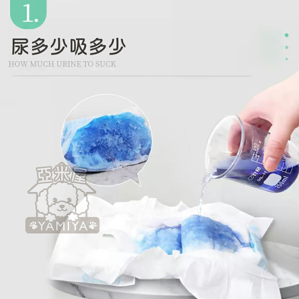噓噓shh-寵物尿布 寵物紙尿褲 寵物紙尿布 公母狗尿布 狗狗紙尿布 禮貌帶 生理褲 紙尿布 紙尿褲《亞米屋Yamiya》 3