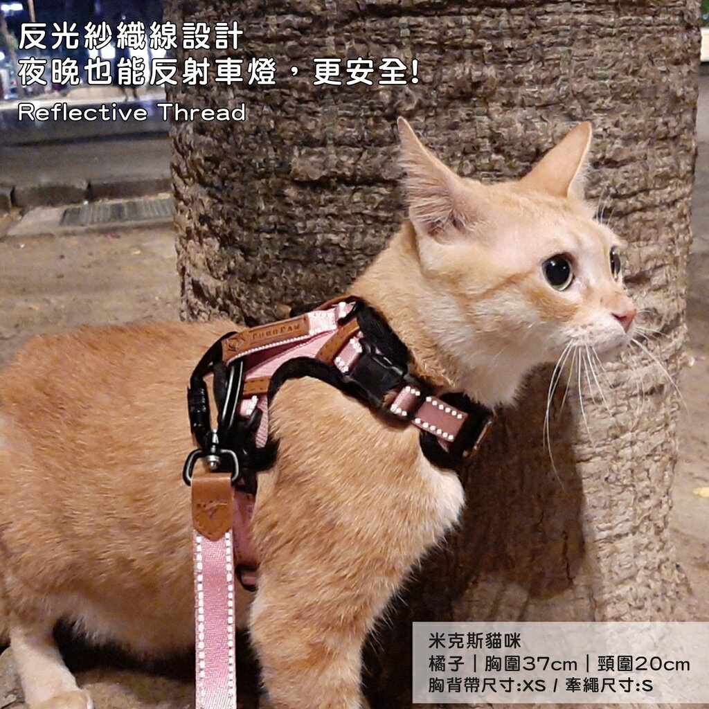 Purrpaw