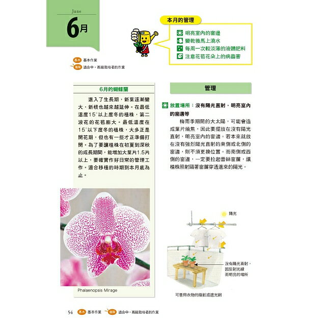 全年度蝴蝶蘭栽培基礎書 5