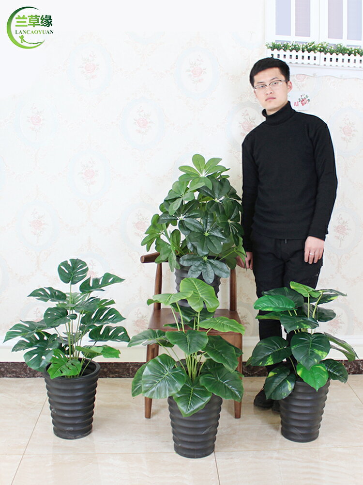 仿真植物盆栽金錢樹客廳落地綠植擺設室內裝飾假花塑料仿真樹盆景