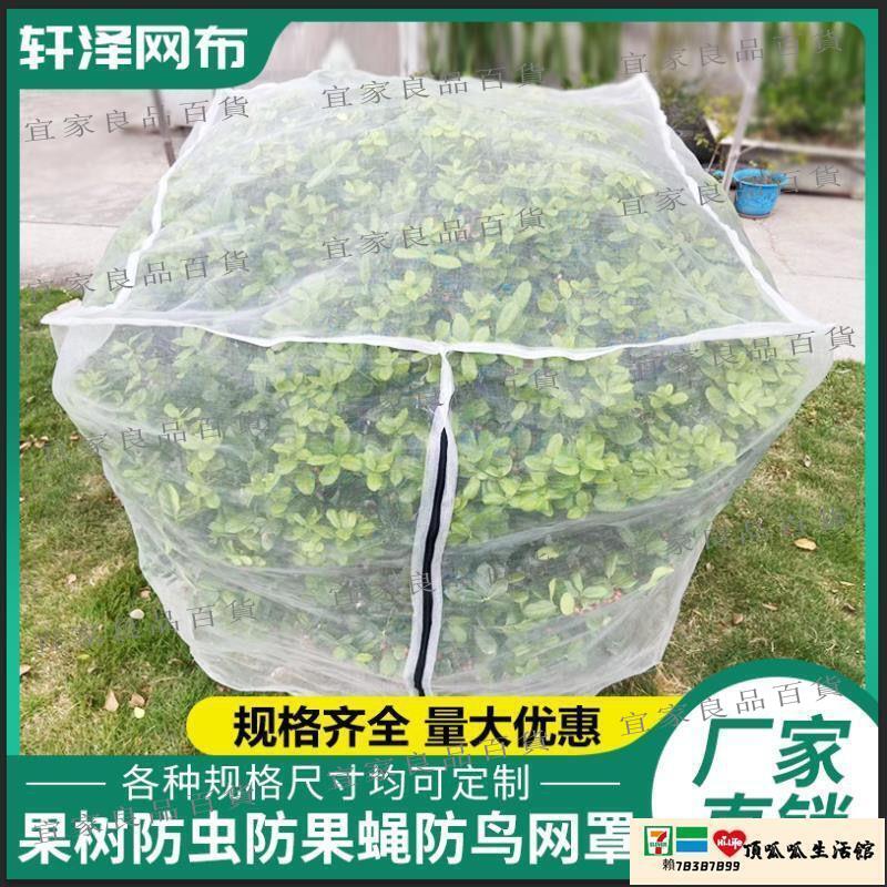 【宜家良品百貨】防鳥網 果樹防鳥防蟲網楊梅樹網罩大棚蓮霧藍莓網桃樹防鳥網網罩羅幔蚊帳