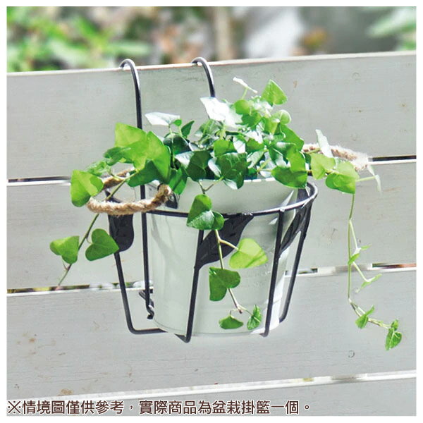 微設計 盆栽掛籃