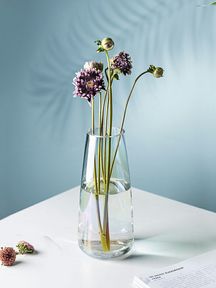 摩登主婦花瓶客廳插花透明玻璃干花ins水養輕奢高檔北歐風格擺件