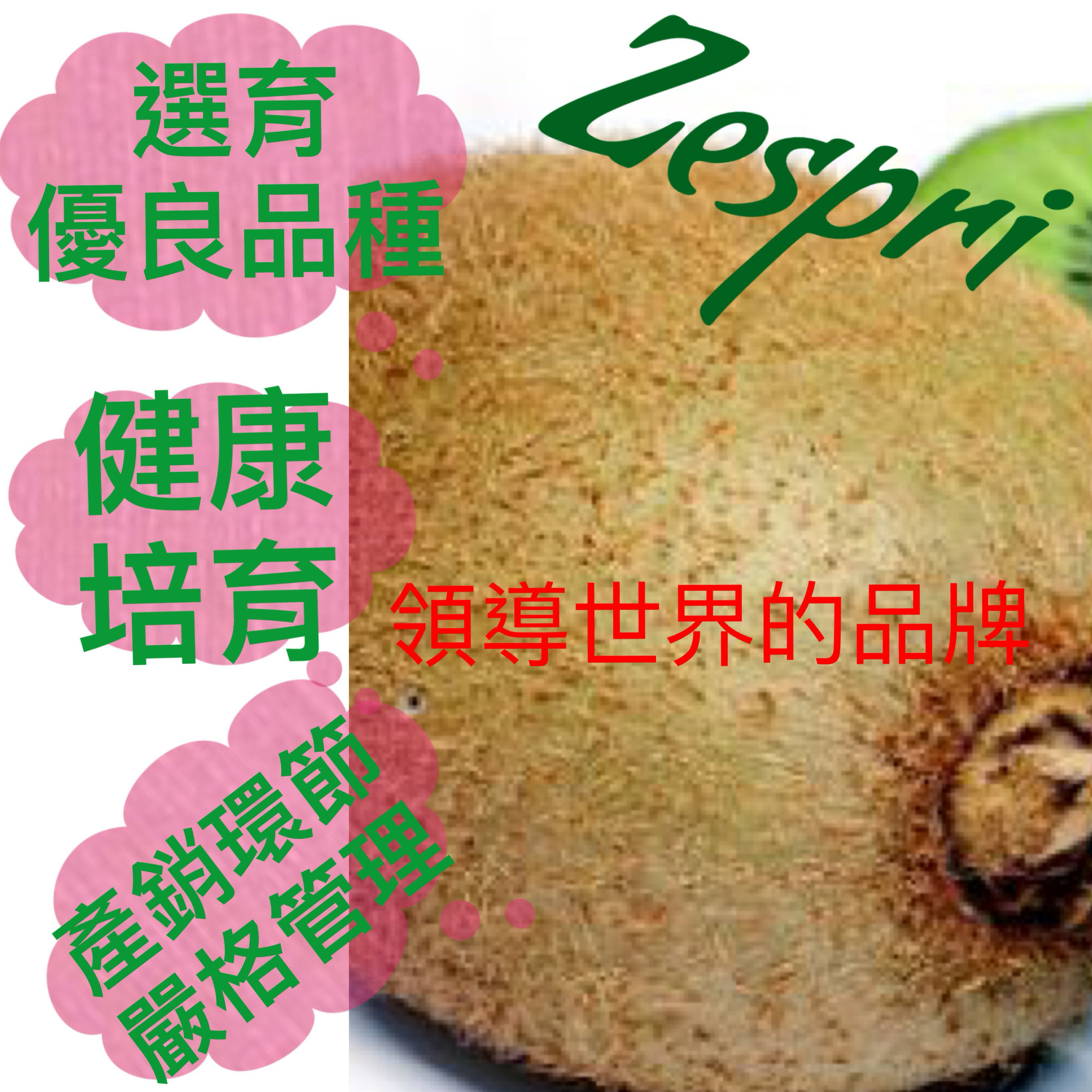 ZESPRI紐西蘭綠色奇異果(22~25入原裝箱)【皇家果物】