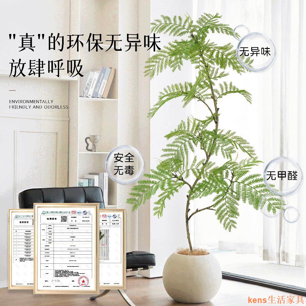 免運 仿真植物 模擬樹 模擬綠植 模擬擺飾 假樹 臨雅模擬綠植藍花楹室內客廳高階輕奢裝飾花大型落地盆栽仿生植物特惠/開立發票K0929