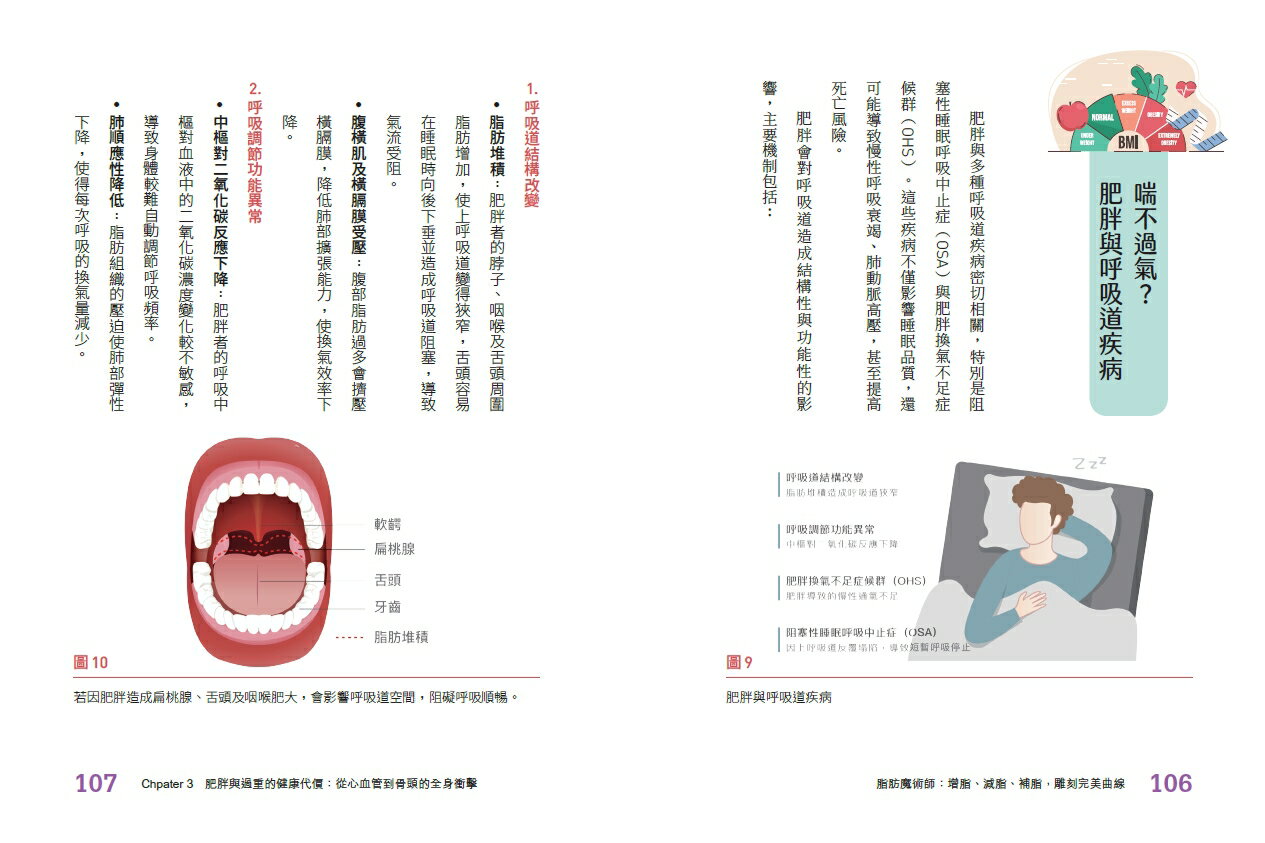 脂肪魔術師：增脂、減脂、補脂，雕刻完美曲線 7