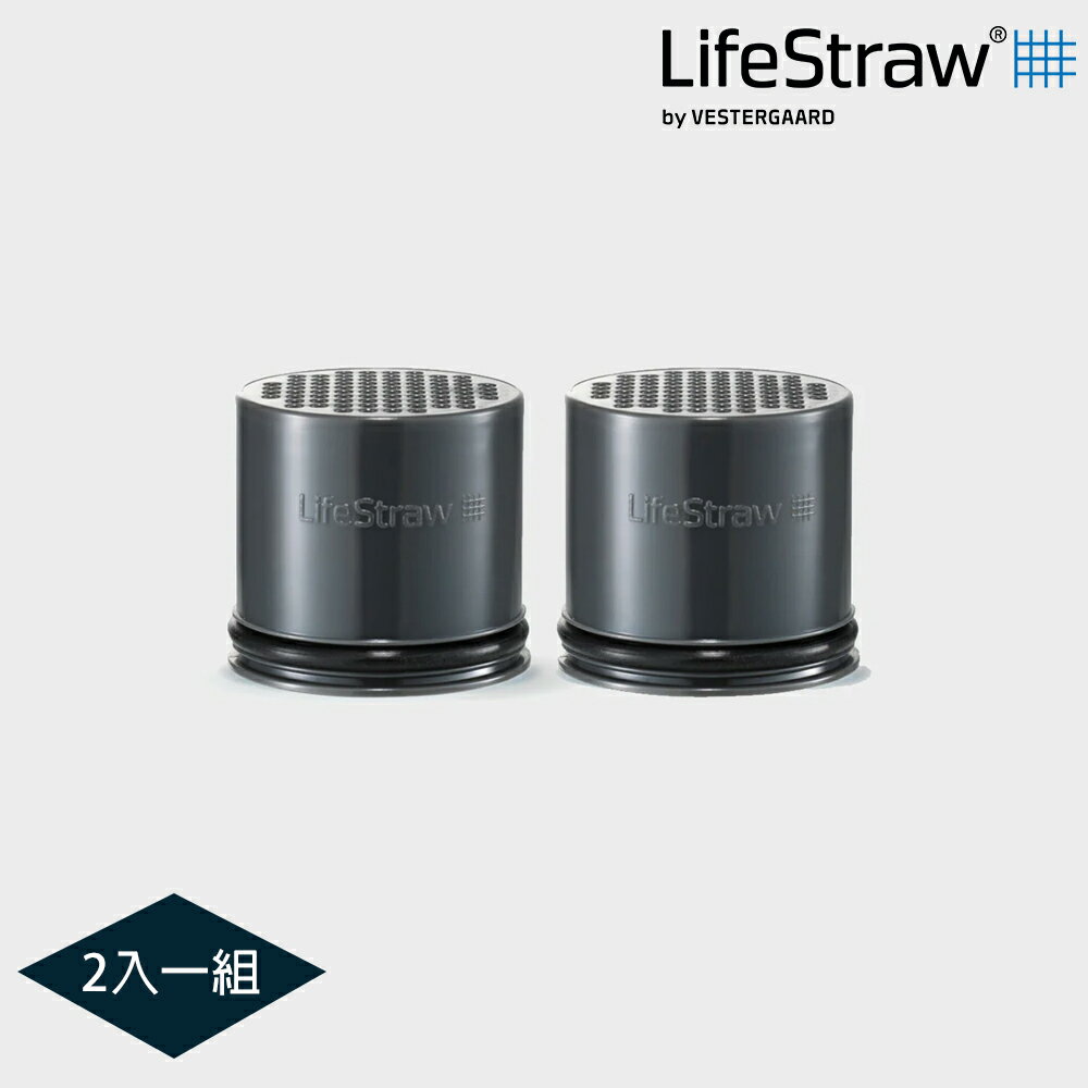 LifeStraw Go 碳過濾替換組 (一組2入)｜(活性碳 備品 濾心 濾水 碳過濾 淨水瓶 金屬吸管 配件 零件)