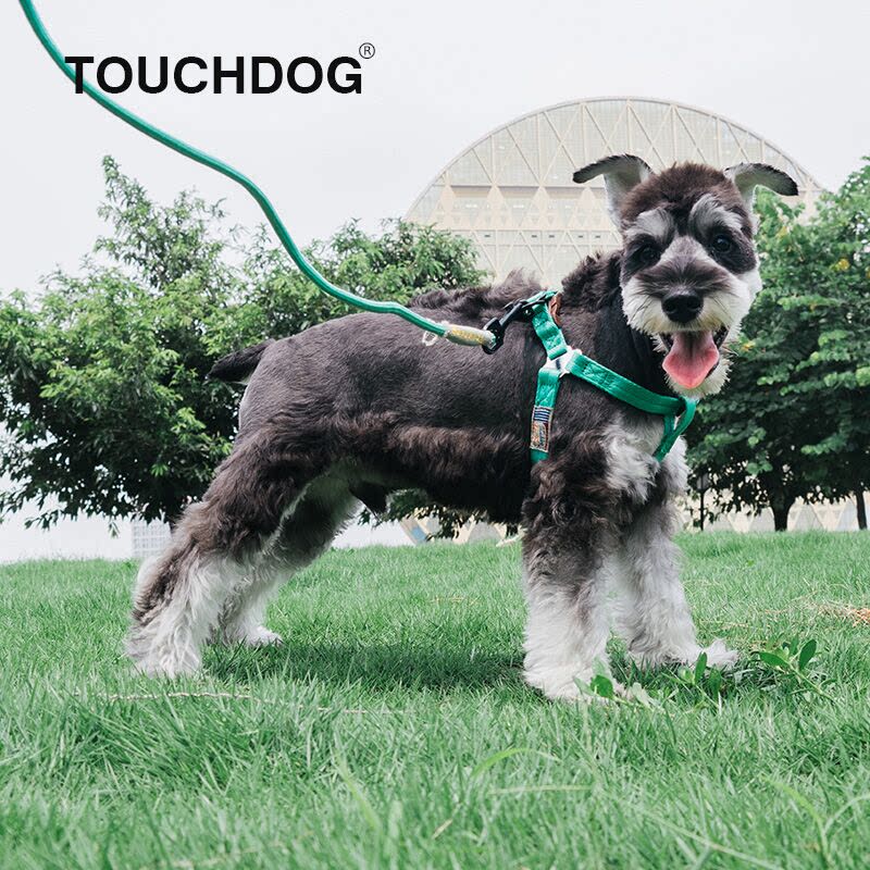 寵物牽引繩/胸背帶 Touchdog它它狗狗牽引繩狗鏈狗胸背心式小中大型犬遛狗繩寵物用品【HZ72136】