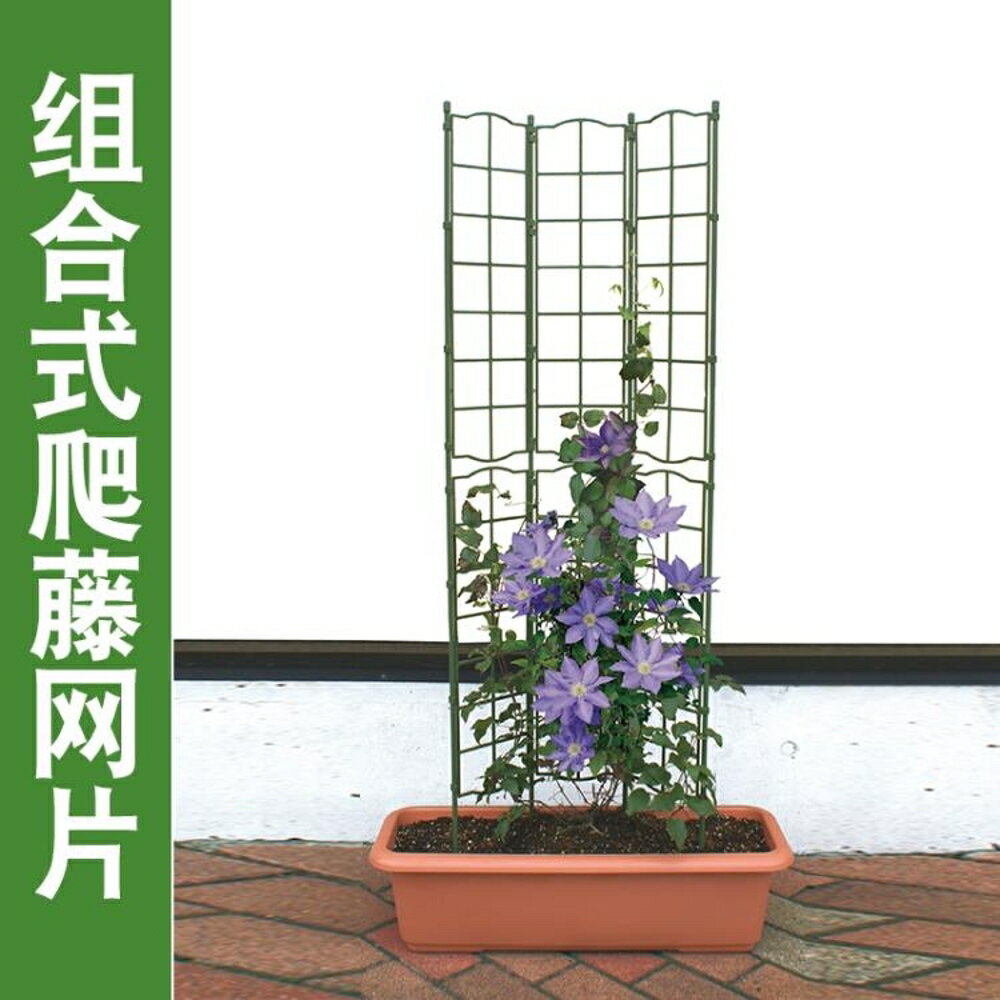 室內盆栽支架爬藤架鐵線蓮架子攀爬架園藝花盆架