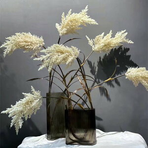 北歐仿真植物蘆葦花辦公室餐廳櫥窗裝飾擺件假花草婚慶攝影背景花