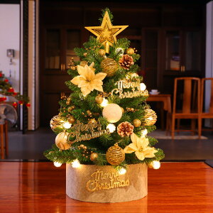 韓版迷你小型聖誕樹家用套餐 聖誕節裝飾品禮物桌面創意擺件