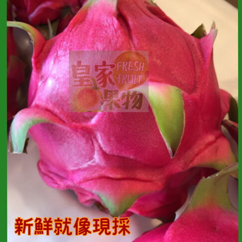 火龍果特級套袋大果試嚐箱6入一般箱/家庭箱10入一般箱/精緻禮盒6入附提袋/精緻禮盒8入附提袋【皇家果物】免運 0