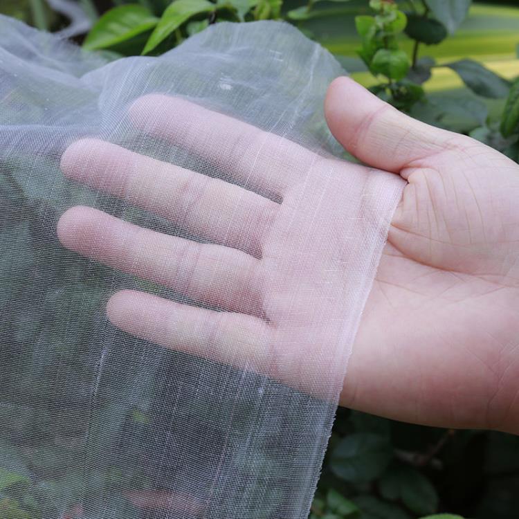 防鳥網 防蟲網大棚專用農用蔬菜果園網豬場防蚊蠅網尼龍網養殖網加密加厚 限時88折