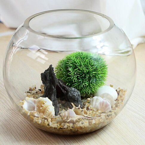 烏龜缸 魚缸生態圓形玻璃金魚缸烏龜缸桌面小型造景水培花瓶圓型小魚缸 5
