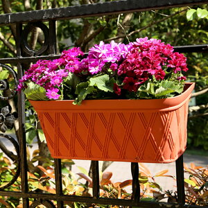 庭院墻上懸掛花盆陽臺簡約塑料壁掛花盆室內掛式綠蘿種植裝飾花槽