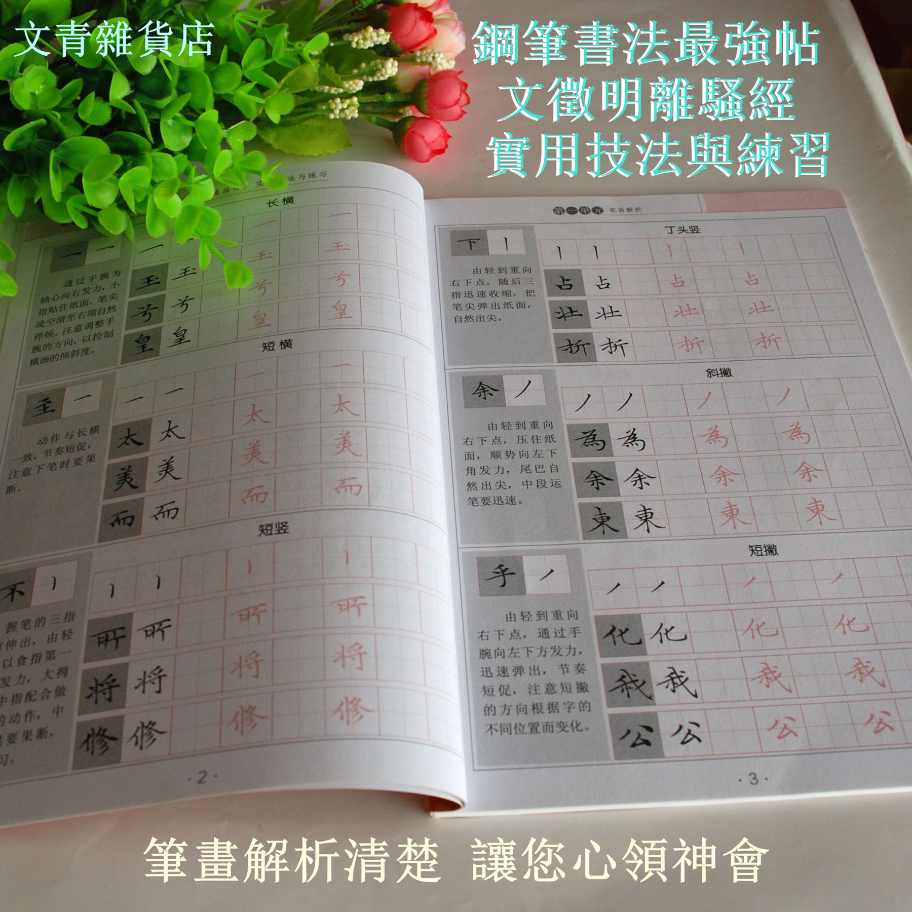文青雜貨店硬筆書法新帖《文徵明 離騷經實用技法與練習》行楷鋼筆字全攻略！好好練讓您出手便是讚嘆~~勤練價199元 3