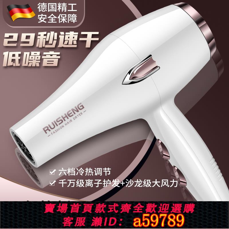 【臺灣公司 可打統編】德國發型師吹風機3000發廊大功率家用強風冷熱風藍光負離子護發靜