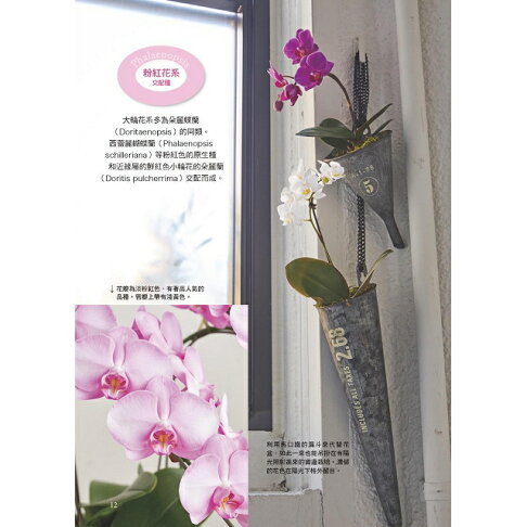 全年度蝴蝶蘭栽培基礎書 1