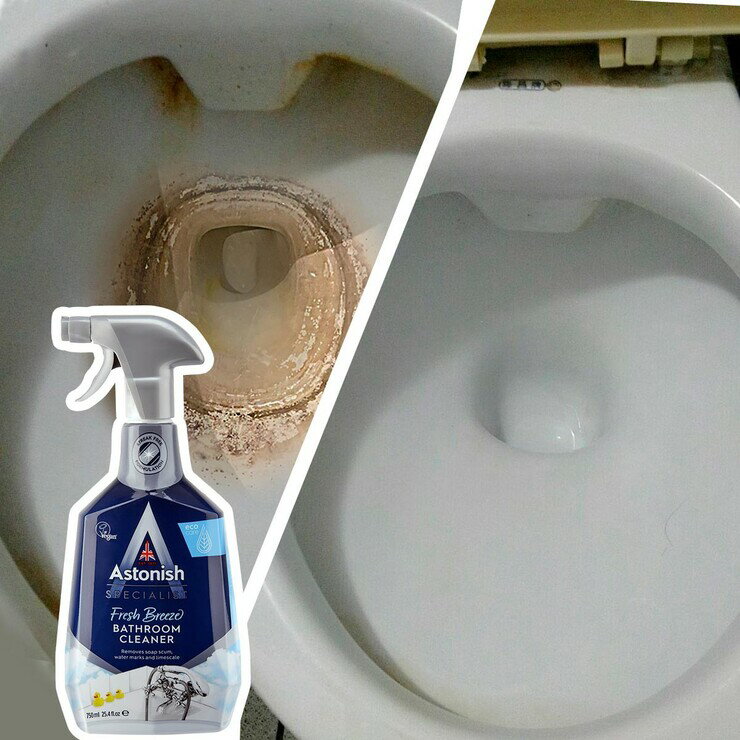 Astonish 英國潔 抑菌除污浴廁清潔劑 750毫升 X 3入 1