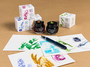 TACCIA 日本製 鋼筆墨水 40ml /瓶 WD40 共13色可選擇