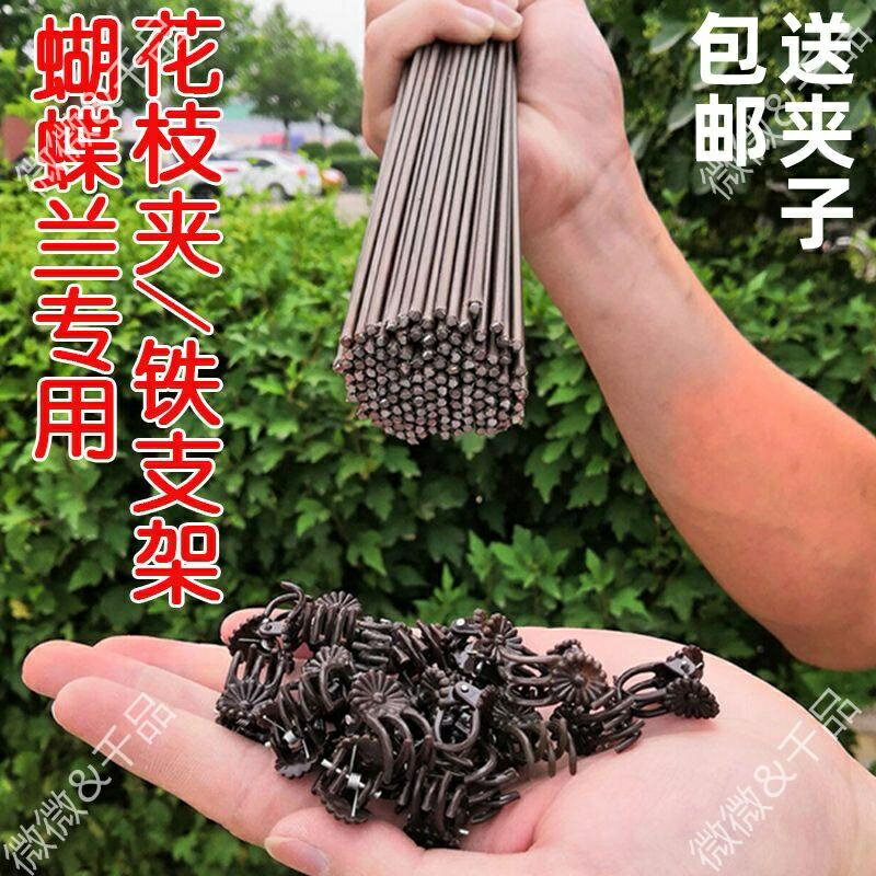 園藝必備~~蝴蝶蘭支架支撐杆造型架子園藝花卉花枝夾子蔓藤爬藤植物固定夾子