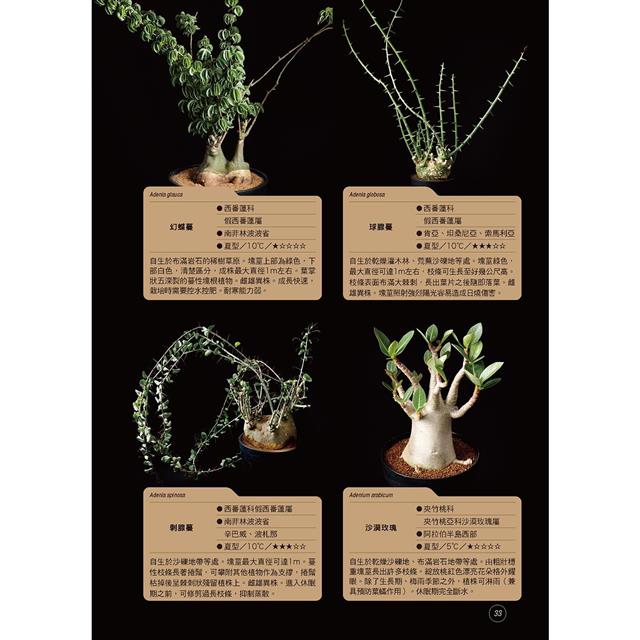 全年度塊根植物栽培基礎書 3