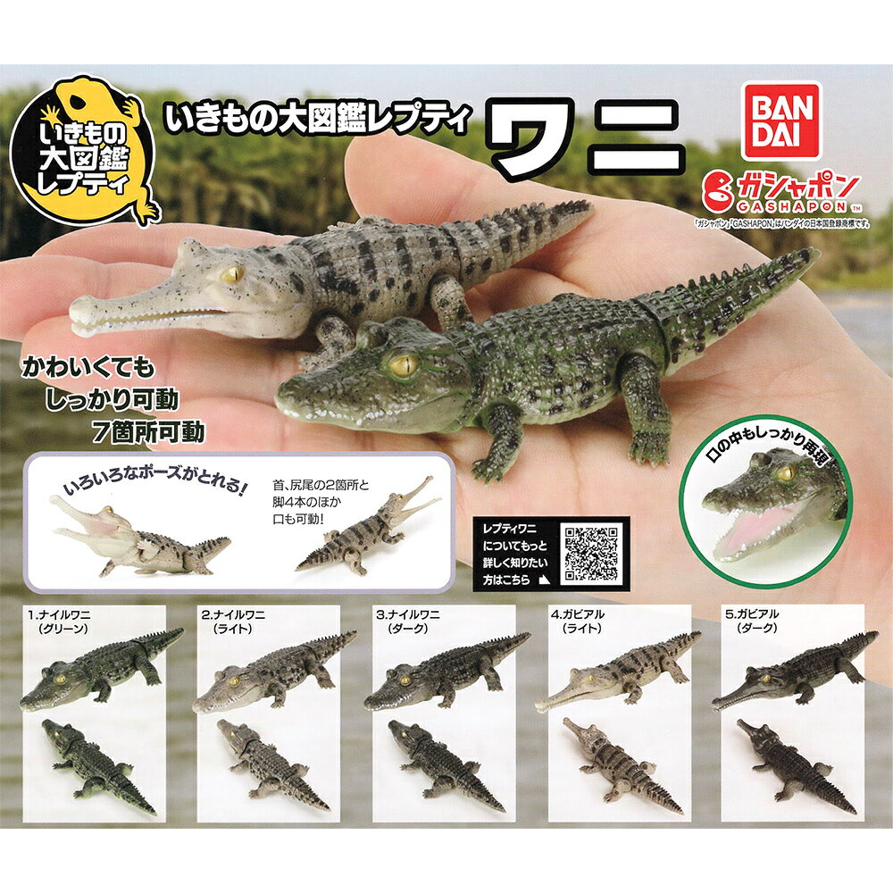 【日本正版】全套5款 生物大圖鑑 鱷魚 扭蛋 轉蛋 尼羅鱷 恆河鱷 動物模型 BANDAI 萬代 - 776588