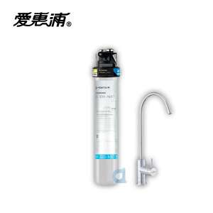 台灣愛惠浦PurVive H300-NXT 極致系列淨水器 降低環境荷爾蒙污染物 H300NXT 大大淨水