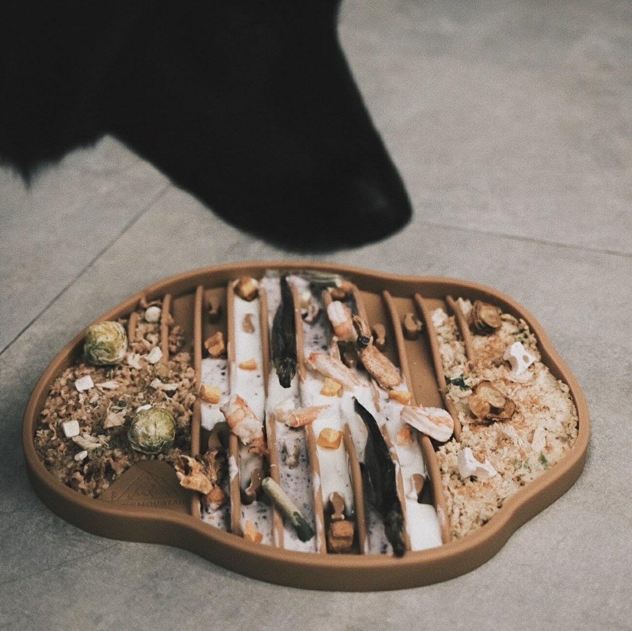 【海洋尋寶舔食墊 OCEAN HUNTING MAT】舔食墊 狗狗慢食 慢食碗 狗碗 嗅聞 藏食 慢食墊 狗狗紓壓 大型犬 中型犬 紓壓玩具