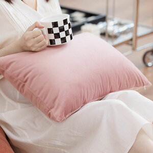 新款ins粉色天鵝絨抱枕沙發客廳網紅少女心靠墊床頭飄窗靠枕腰枕