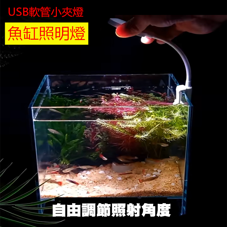 USB軟管小夾燈 小型夾燈 魚缸照明燈 水族燈 小缸燈具 圓形缸 小夜燈 床頭燈 補光燈 自拍 護眼檯燈登山 露營 野營 緊急照明