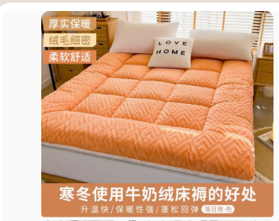 牛奶絨床墊軟墊墊子家用冬季墊被加厚保暖褥子珊瑚絨羊羔絨床褥墊