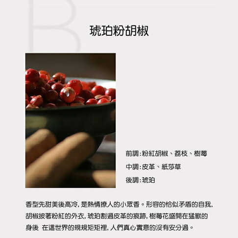 Daily Lab 小巨蛋系列車載香氛盒車用香水車用香氛DLCX4010(套裝組)【APP享6%回饋】 8