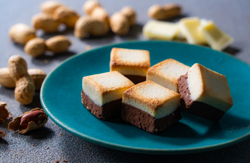 【預購】DOUBLE BAKED CHOCOLATE 雙層烘焙巧克力  成田機場限定 日本伴手禮代購