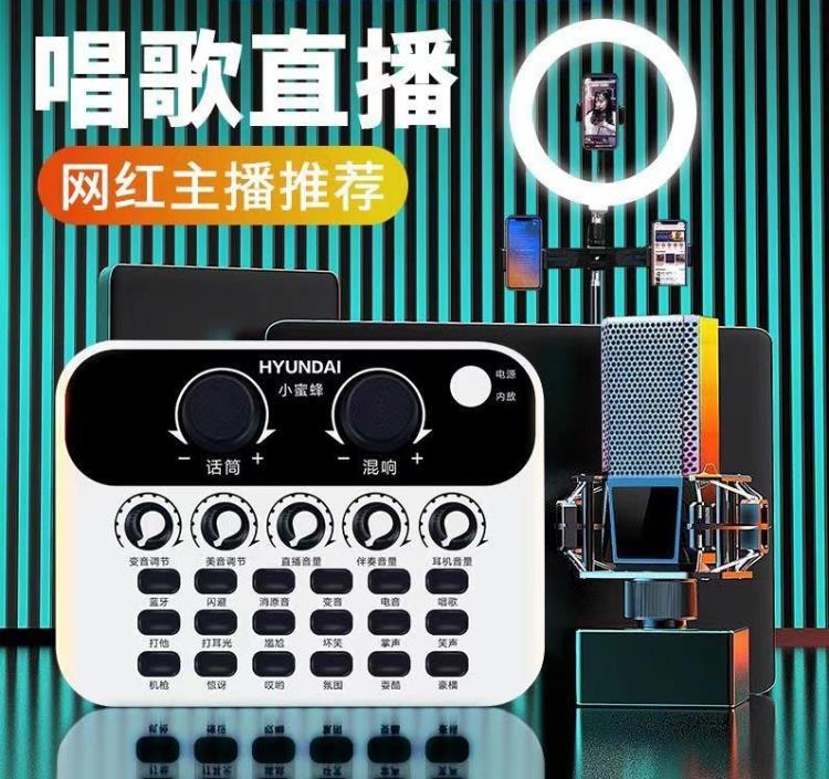 小蜜蜂手機電腦通用直播音效卡變聲器裝置全套裝麥克風主播唱歌話筒