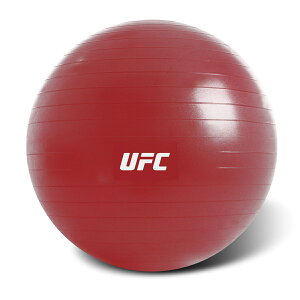 UFC - 健身球 - 65cm